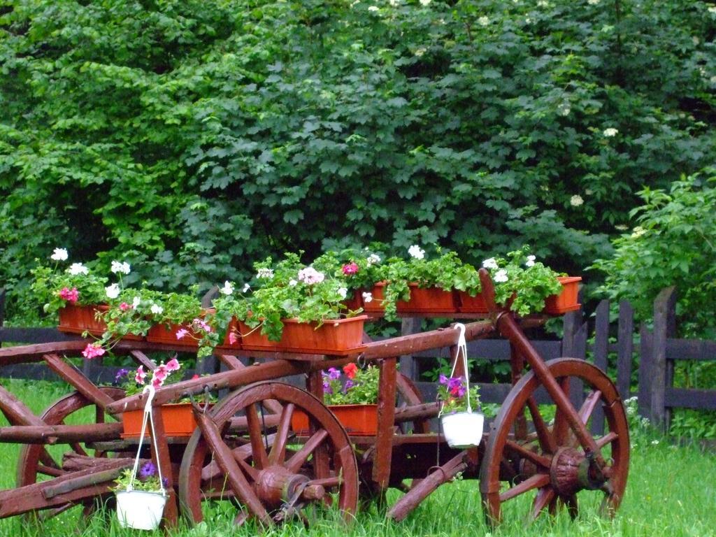 Pensiunea Mihaela Poiana Brasov Habitación foto