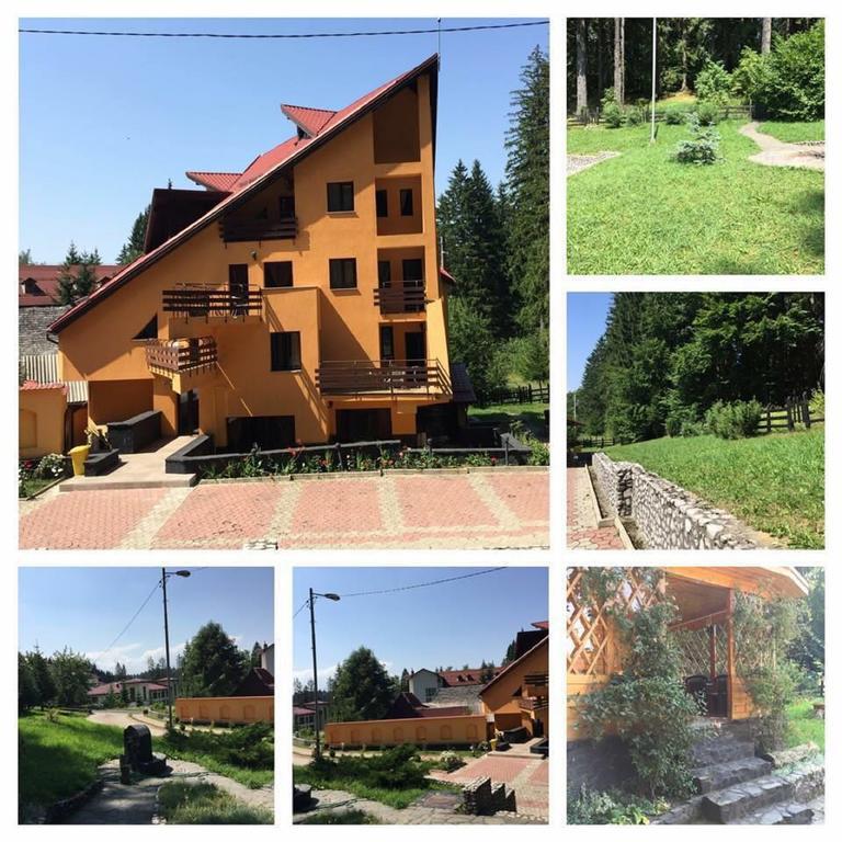 Pensiunea Mihaela Poiana Brasov Exterior foto