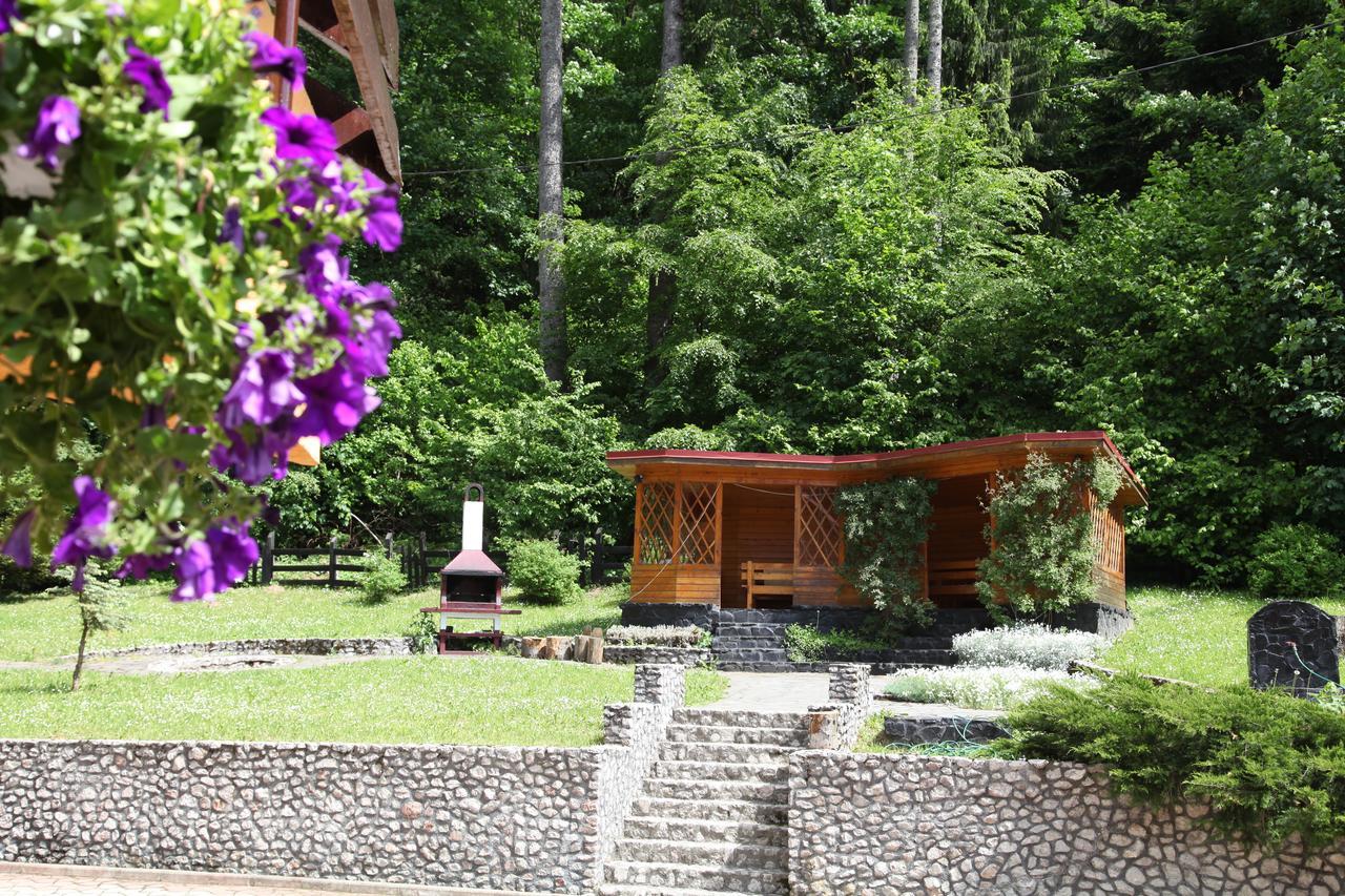 Pensiunea Mihaela Poiana Brasov Exterior foto